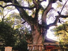-热田神宫