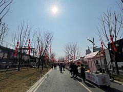 -三圣花乡旅游区