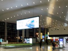 -广州白云国际机场-T2航站楼