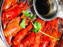 -0574龙虾的故事(东裕店)