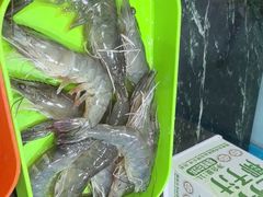 -小海豚•老字号海鲜餐厅(天涯店)