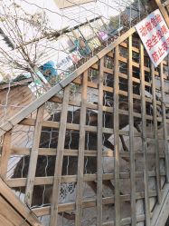 点击看大图 -萌宠亲子动物乐园(槐房万达店)