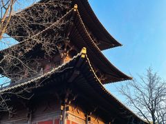 -广富林郊野公园