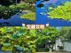 -拙政园