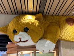 -帕帕拉兹宠物(亚洲旗舰店)