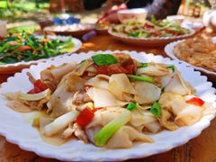 大救驾-腾冲国萍农家乐