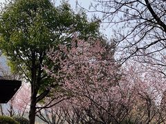 -白塘生态植物园