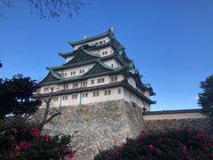 -名古屋城
