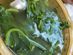 豌豆尖汤-瓦房兔(璧山店)