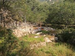 -大岭沟猕猴桃谷风景区