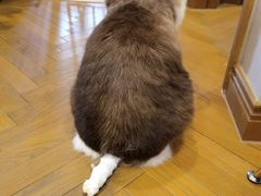 -良伴无忧宠物医院(泰欣嘉园店)