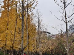 -柳侯公园