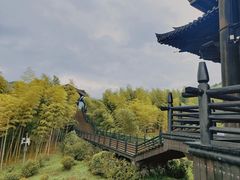 -大唐贡茶院