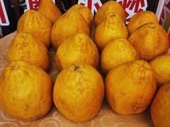 -始于2011柳周农家菜沙田柚美食店(东大街店)