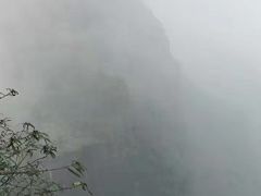 -蜀南竹海景区