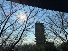 -牛首山文化旅游区