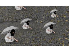 -南沙蒲洲花园