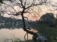 -西湖游船