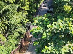 -圣淘沙天际线斜坡滑车