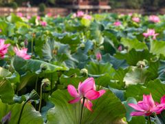 -北山街历史文化街区