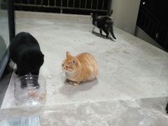 -泰顺江南春面馆