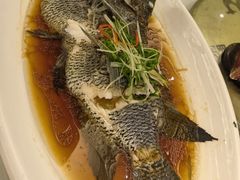 广式海石斑-骏莱海鲜鱼港(五角场店)