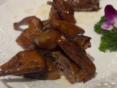 红烧乳鸽-光明招待所(邦凯科技园店)
