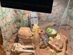 -杭州海底世界