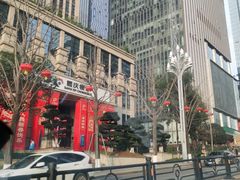 -重庆市江北嘴中央商务区中央公园