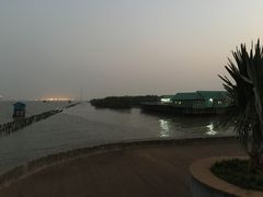 -海鸥岛