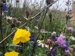 -白草畔自然风景区