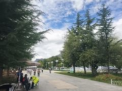 -罗布林卡