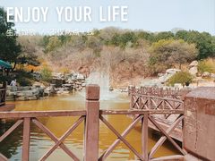 -北京西山国家森林公园