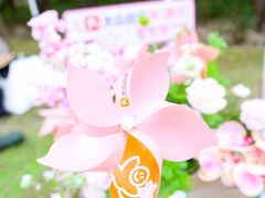 -顾村公园