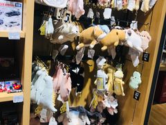-九木杂物社(中心店)