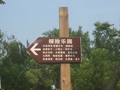 -上海长兴岛郊野公园