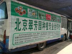 -庞各庄翠芳园西瓜蔬菜基地采摘园