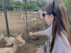 -北京麋鹿生态实验中心
