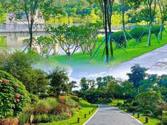 -东莞植物园