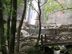 -陕西省红河谷森林公园
