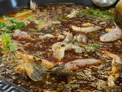-大江美蛙鱼火锅(都江堰店)