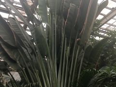 -龙达温泉生态城