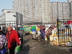 -岳各庄批发市场(西四环中路店)