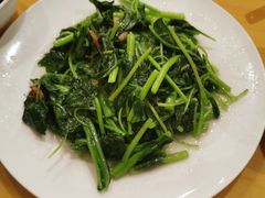 清炒豌豆尖-鼎泰丰(当代商城店)