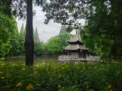 -习家池