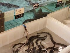 煎焗海鱔-猪肉婆私房菜(容桂总店)
