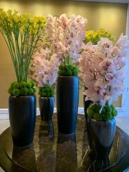 -巍阁高端月子会所