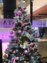 点击看大图 -ON STAR SALON