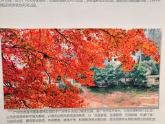 -广州市城市规划展览中心