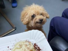 -爱侣宠医·鹦鹉专科·小型哺乳类·异宠专科(灵石路店)